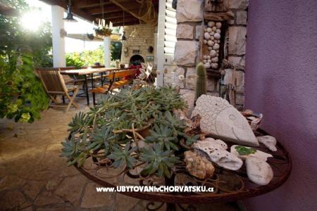 Tonči Vloka photo 3