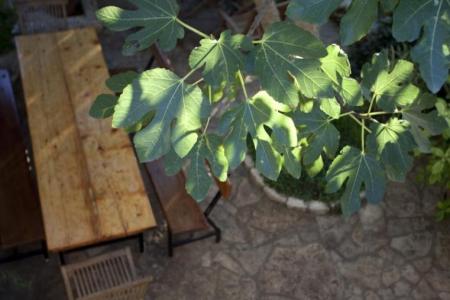 Tonči Vloka photo 5