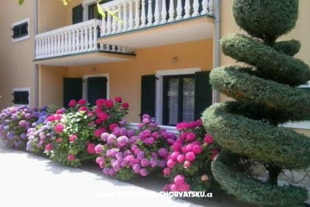 Villa Carevic photo 4