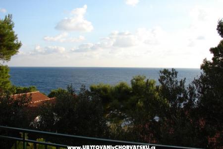 Villa Magnolia photo 2