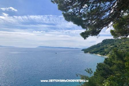 Apartments  Ines Igrane Croatia