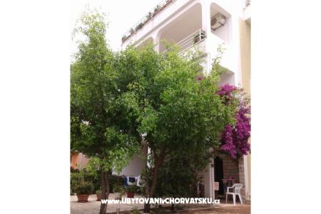 Apartments Lile Igrane Croatia