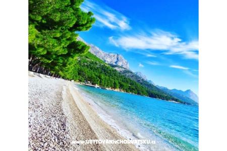 Apartments Lile photo 4