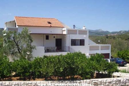 Apartments Tonći photo 3