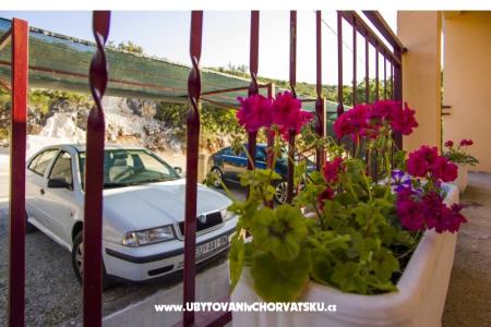 Apartments Marijana photo 3