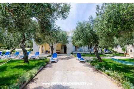 Apartments Glavor photo 5