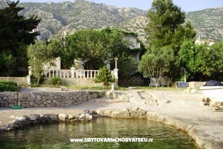 Apartments Marija photo 4