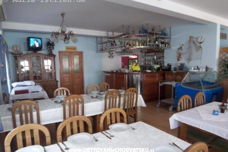 Apartments Delfin photo 5