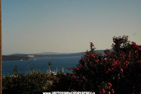 Apartment Palma photo 3