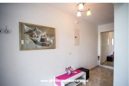 Apartments Duje photo 2