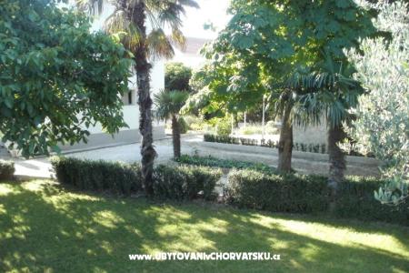 Apartments Grgin photo 3