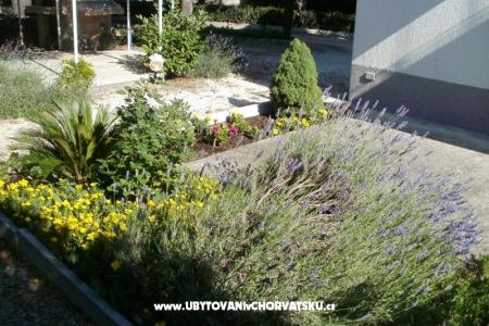 Apartments Grgin photo 5