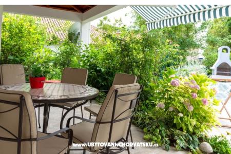 Flower Apartment photo 5