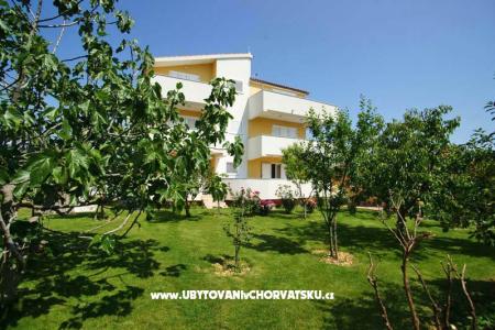 Villa Lucija photo 2