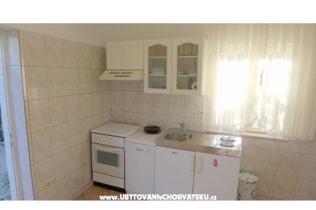 Zvijezda mora photo 2