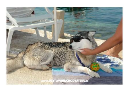 AG Komarna | Pelješac B. Apartments Klek Croatia