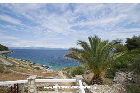 Vacation house Dorjan photo 4