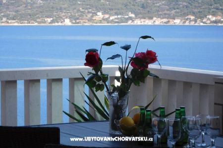 Teo Ivancevic photo 4