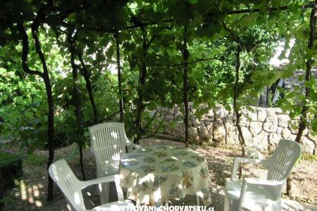Apartment Neda photo 2