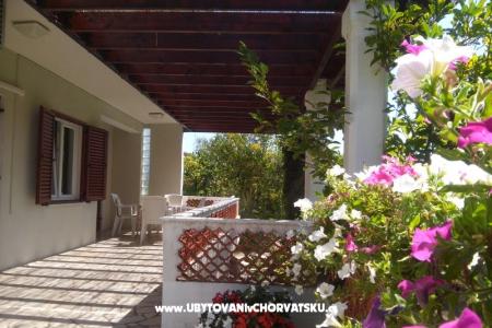 Apartments Branko photo 2