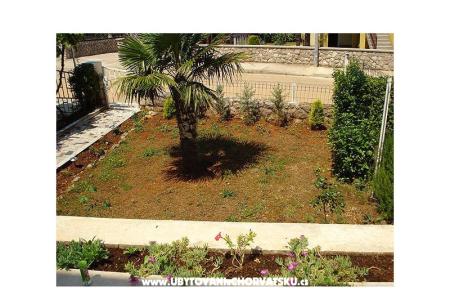 Apartments Dijana photo 3