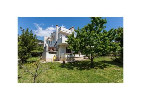 Apartments Marietto photo 4