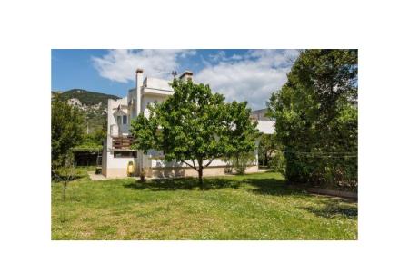 Apartments Marietto photo 5