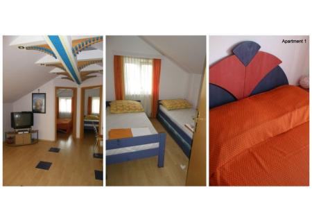 Apartments  Miskovic photo 3