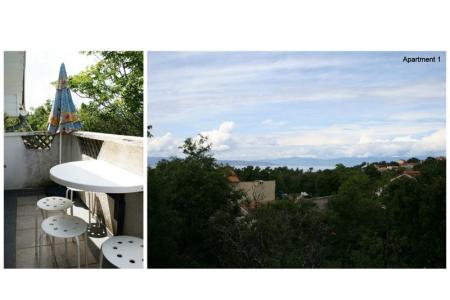 Apartments  Miskovic photo 5