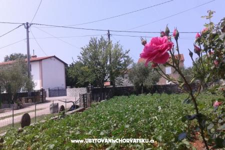 Apartments Marica photo 2