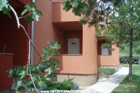 Apartments Zvonko photo 3