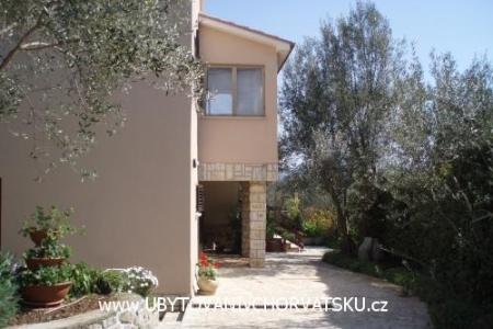Apartments Kornic photo 2