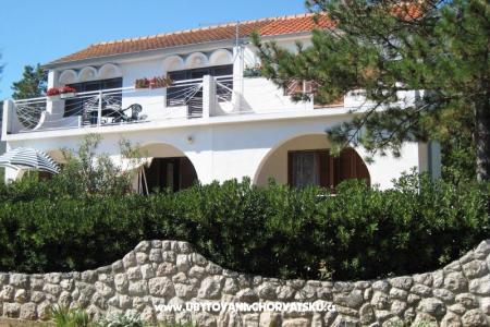 Apartments Zana photo 3