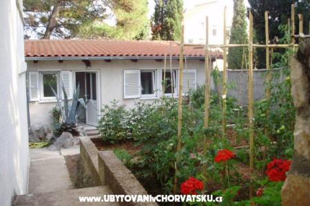 Apartment Anci photo 2