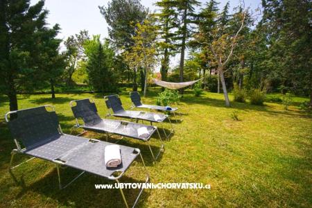 Villa Aurora photo 2