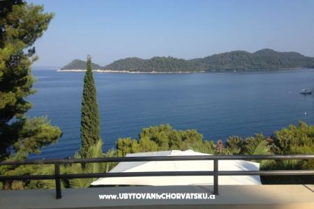 Villa Lastovo photo 3
