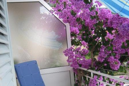 Apartment Bojana photo 2