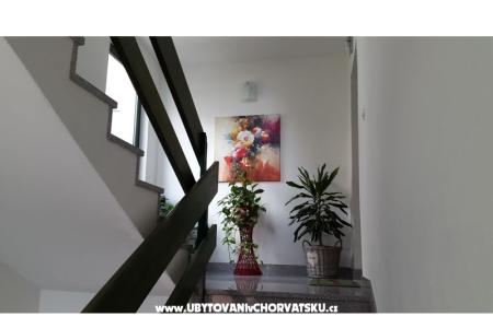 Apartment Ivana photo 4