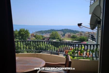 Apartments Garden paradise photo 3