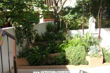 Apartments Gita photo 2