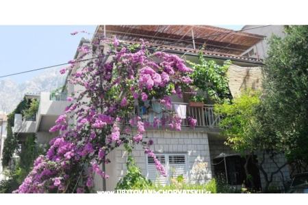 Apartments KATE Makarska Croatia
