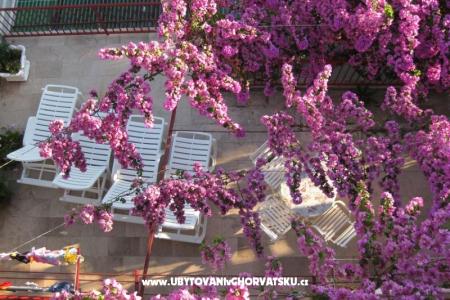 Apartments Kruno photo 4
