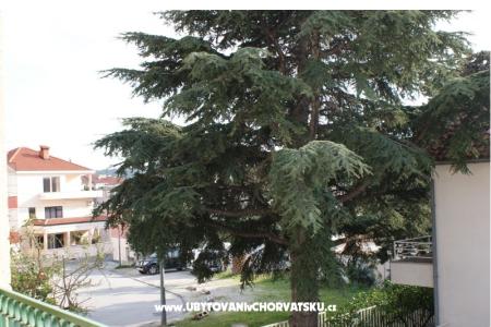 House Marija photo 2