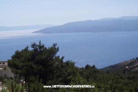 Apartments Mileta photo 3