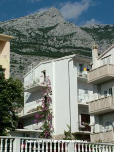 Appartments Mira i Zdenko Roso photo 2