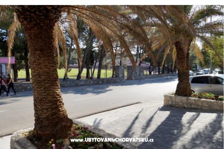 Frapedo sport Makarska photo 4