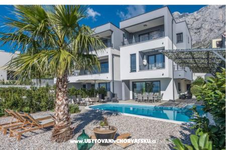 Luxury Visium photo 5