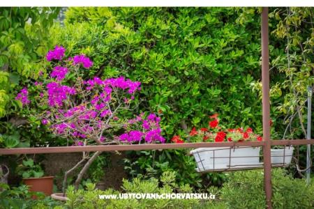 Apartments Daniela Makarska photo 3