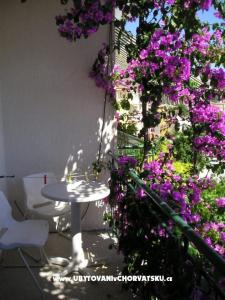 Apartments Villa Luce photo 3