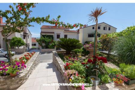 Apartments Avvi Mali Losinj Croatia